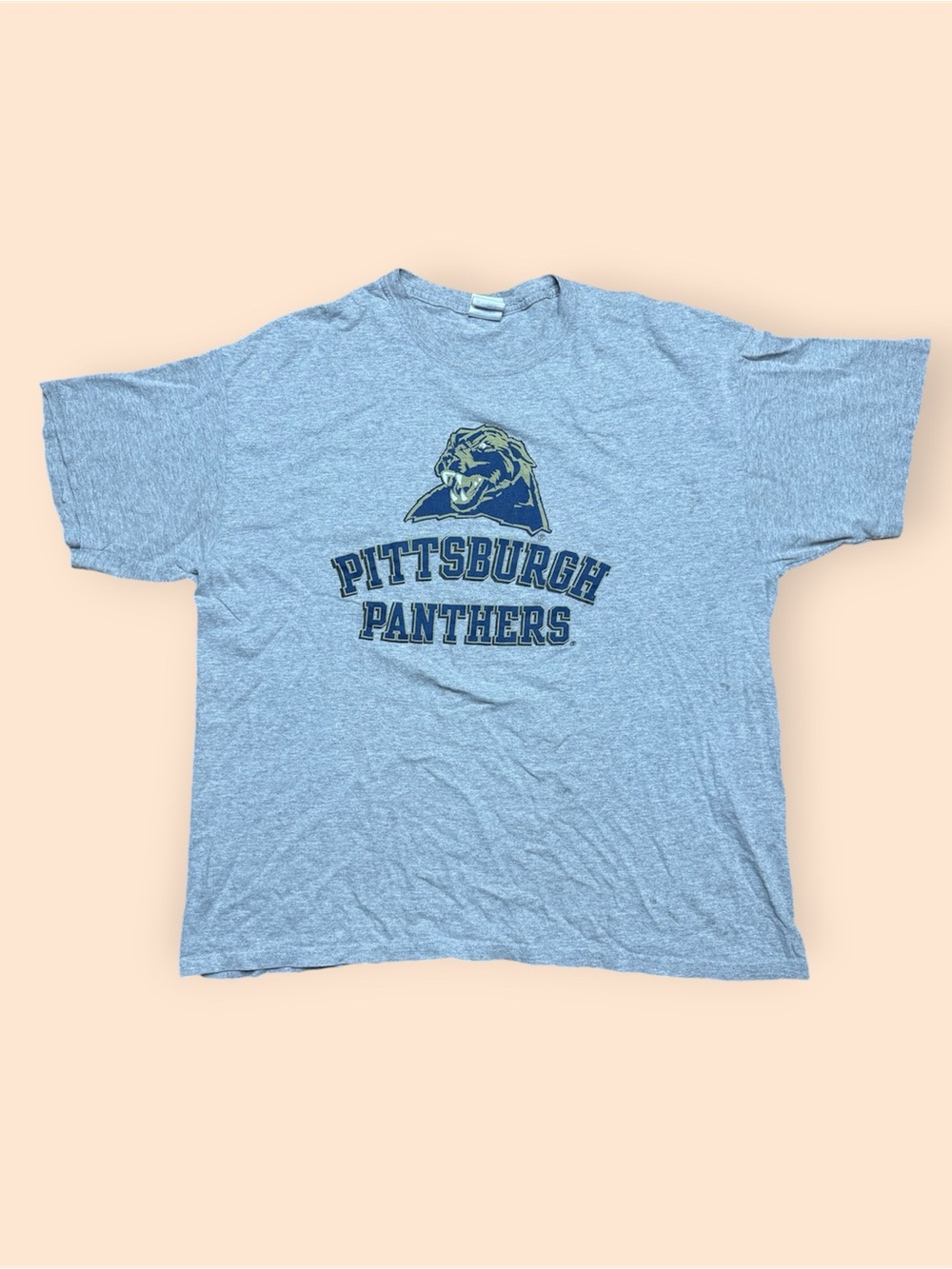 Vintage Pitt Panthers Y2K T Shirt Men’s XL Gray Vtg 2000S